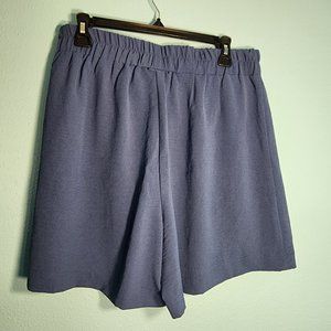 Common Sense Blue Large Shorts